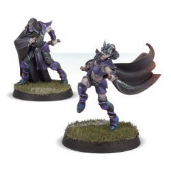 Dark Elf Assassins