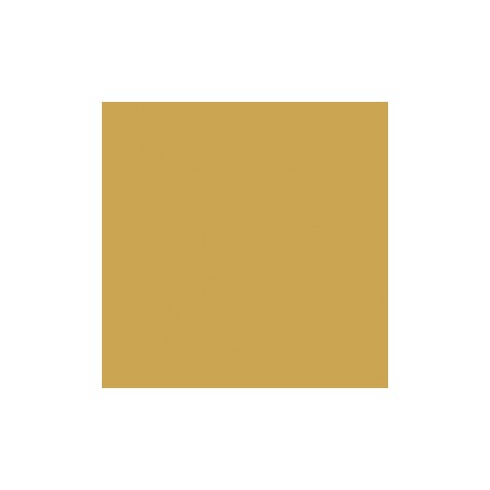 P107 Jaune intérieur US