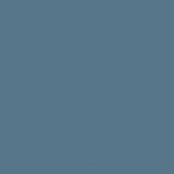 P113 Bleu Intermédiaire US