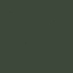 P134 Vert Midouri IJA