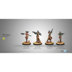 Infinity: Odalisques