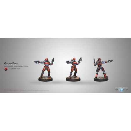 Infinity: Gecko Pilot