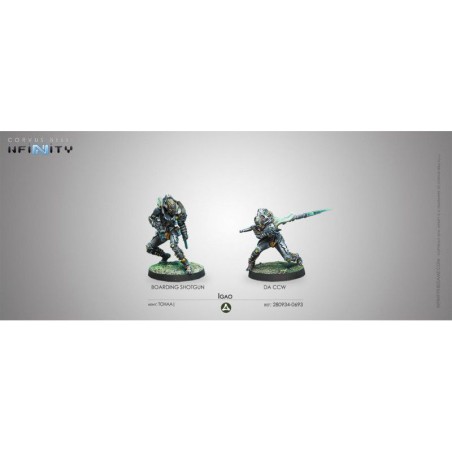 Infinity: Igao (Boarding Shotgun / DACCW)