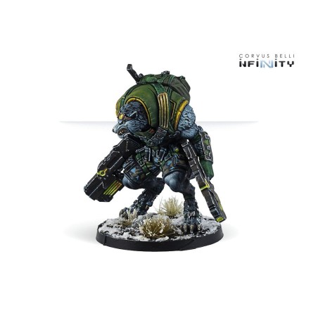 Ariadna: Equipe Mirage-5