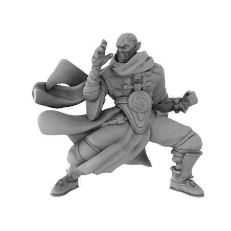 TLT: Halforc Monk Unarmed