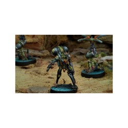 Infinity: Ikadron Batroids & Imetron