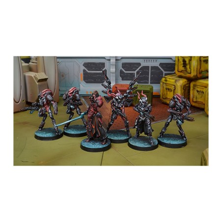 Combined Army: Starter Pack