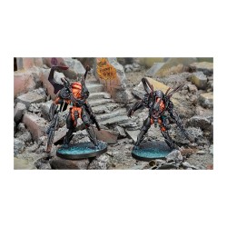 Infinity: Xeodron Batroids