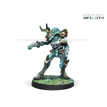 Tohaa: Kaauri Sentinels