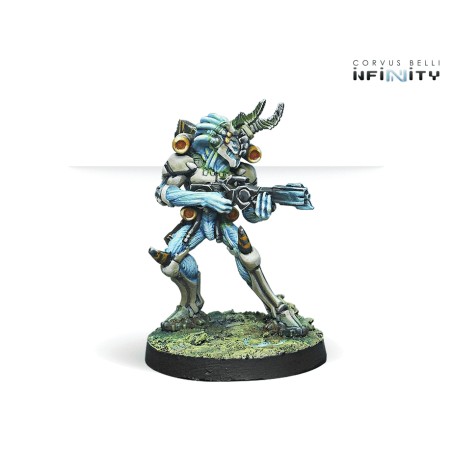 Tohaa: Kaauri Sentinels