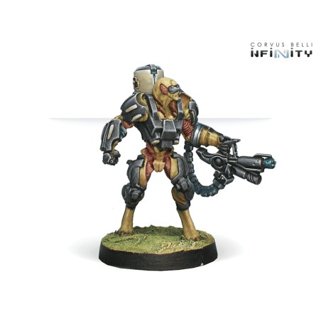 Tohaa: Chaksa Auxiliars