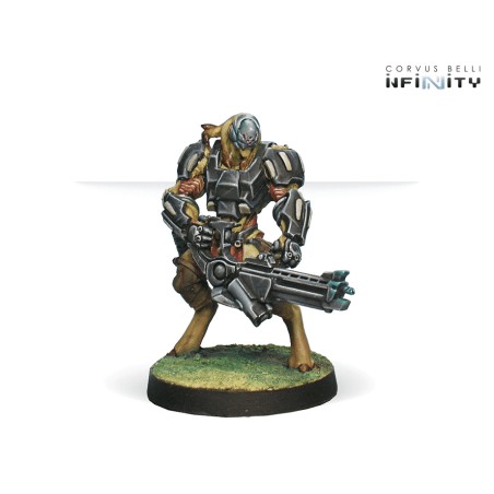 Tohaa: Chaksa Auxiliars