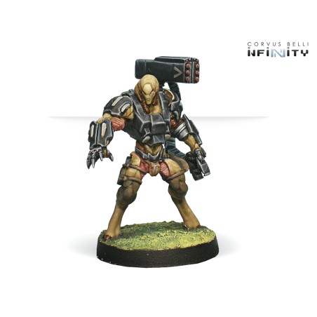 Tohaa: Chaksa Auxiliars