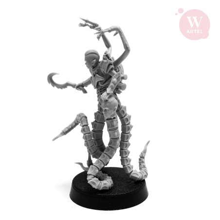 AWM: Ar'ache, Mistress of Flesh