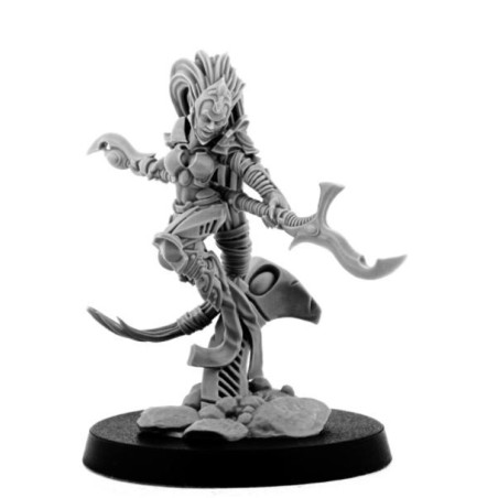 WE: Light Side Elves Phoenix