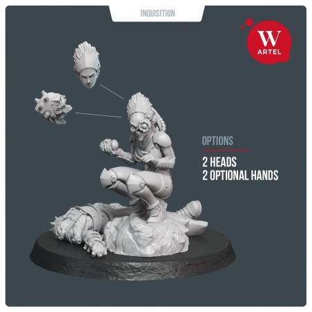 AWM: Hollow Assassin