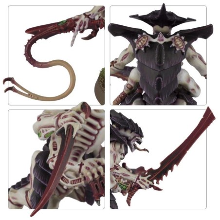 Tyranids: Guerriers 