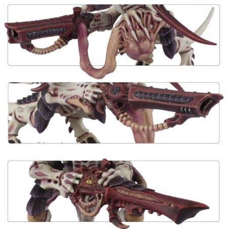 Tyranids: Guerriers 