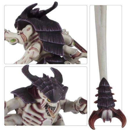Tyranids: Guerriers 