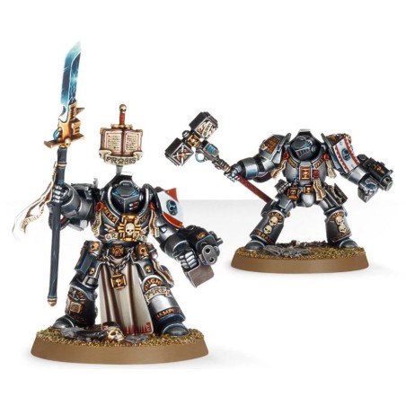 Grey Knights: Terminators / Paladins