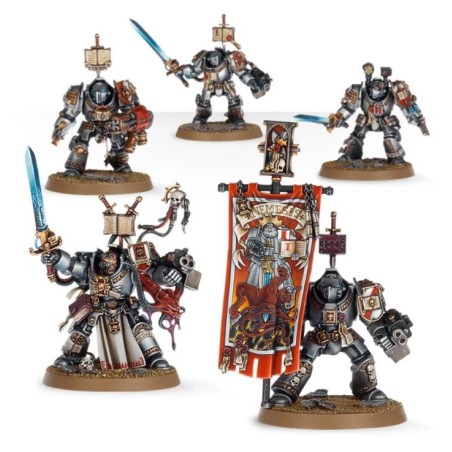 Grey Knights: Terminators / Paladins