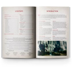 Lord of the Rings: Defense of the North (Anglais)