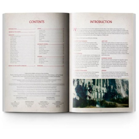 Lord of the Rings: Defense of the North (Anglais)