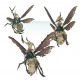 Chaos Deamons: Plague Drones