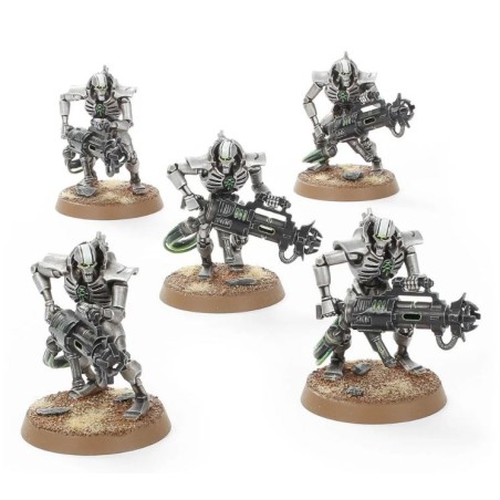 Nécrons: Immortals / Deathmarks