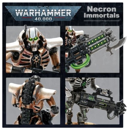 Nécrons: Immortals / Deathmarks