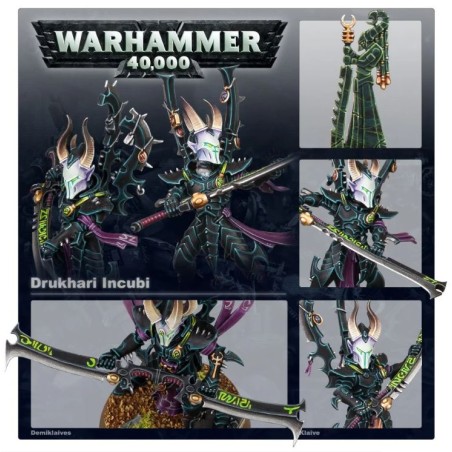 Drukhari: Incubi