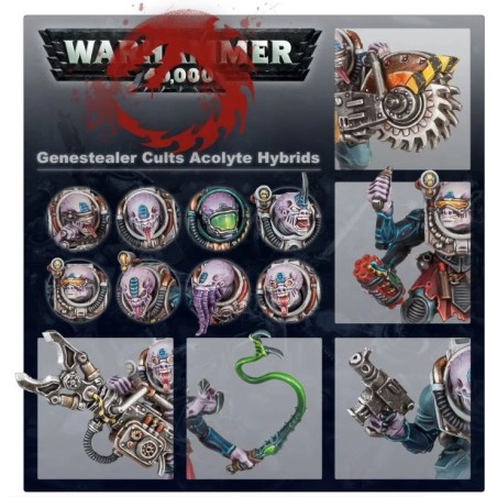 Culte Genestealer: Acolyte Hybrids