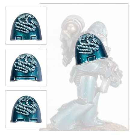 Alpha Legion Fw: MkVI Shoulder Pads