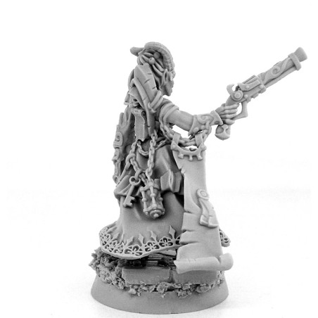 WE: Heresy Hunter Daemonette Inquisitor Contracted Mercenary