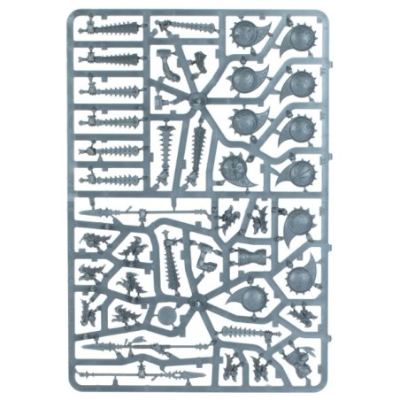 Seraphon: Guerriers Saurus (Unpack)