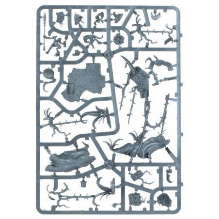 Seraphon: Astrocrate (Unpack)