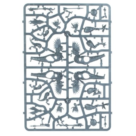 Seraphon: Chasseurs Raptadons (Unpack)