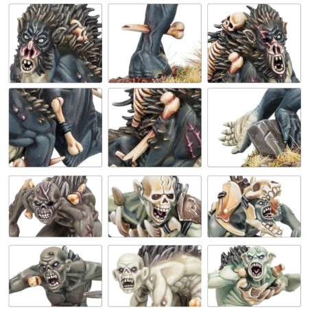 Warcry: Dépeceur Royaux