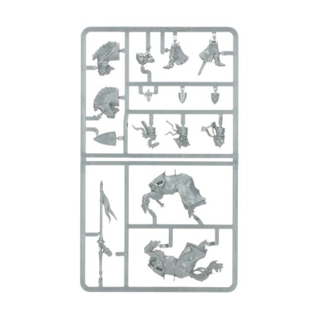 The Old World Bretonnie: Chevaliers Pégase