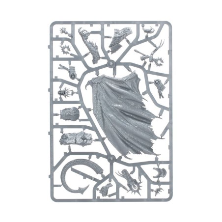 Stormcast Eternal: Ionus Cryptborn