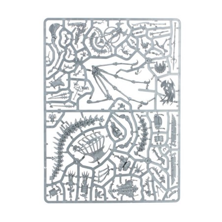 The Old World Khemri: Roi des Tombes sur Dragon d'Os Necrolithe