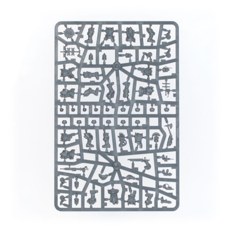 The Horus Heresy: Solar Auxilia Veletaris Storm Section