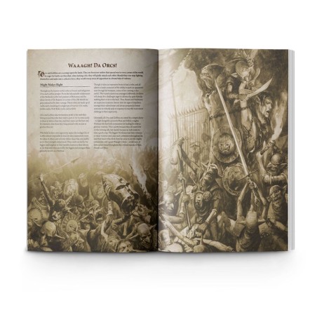 The Old World: Arcane Journal