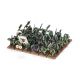 The Old World: Orcs Bataillon