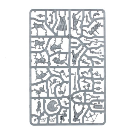 Warcry: Chasseurs du Corps d'Eclaireurs