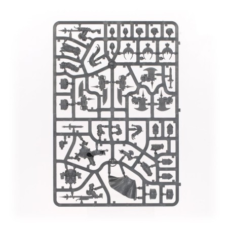 Adeptus Custodes: Patrouille (Ancien)