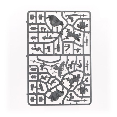 Adeptus Custodes: Patrouille (Ancien)