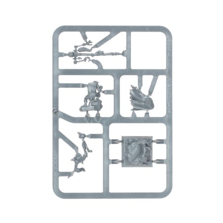 The Old World Orque: Chamane Gobelin