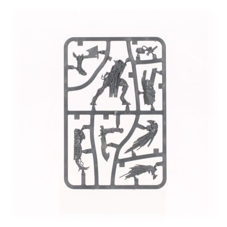 T'au Empire: Mentor Pisteur Kroot