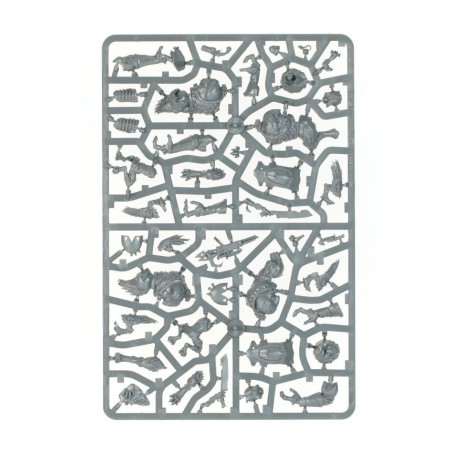 T'au Empire: Saccageurs Krootox